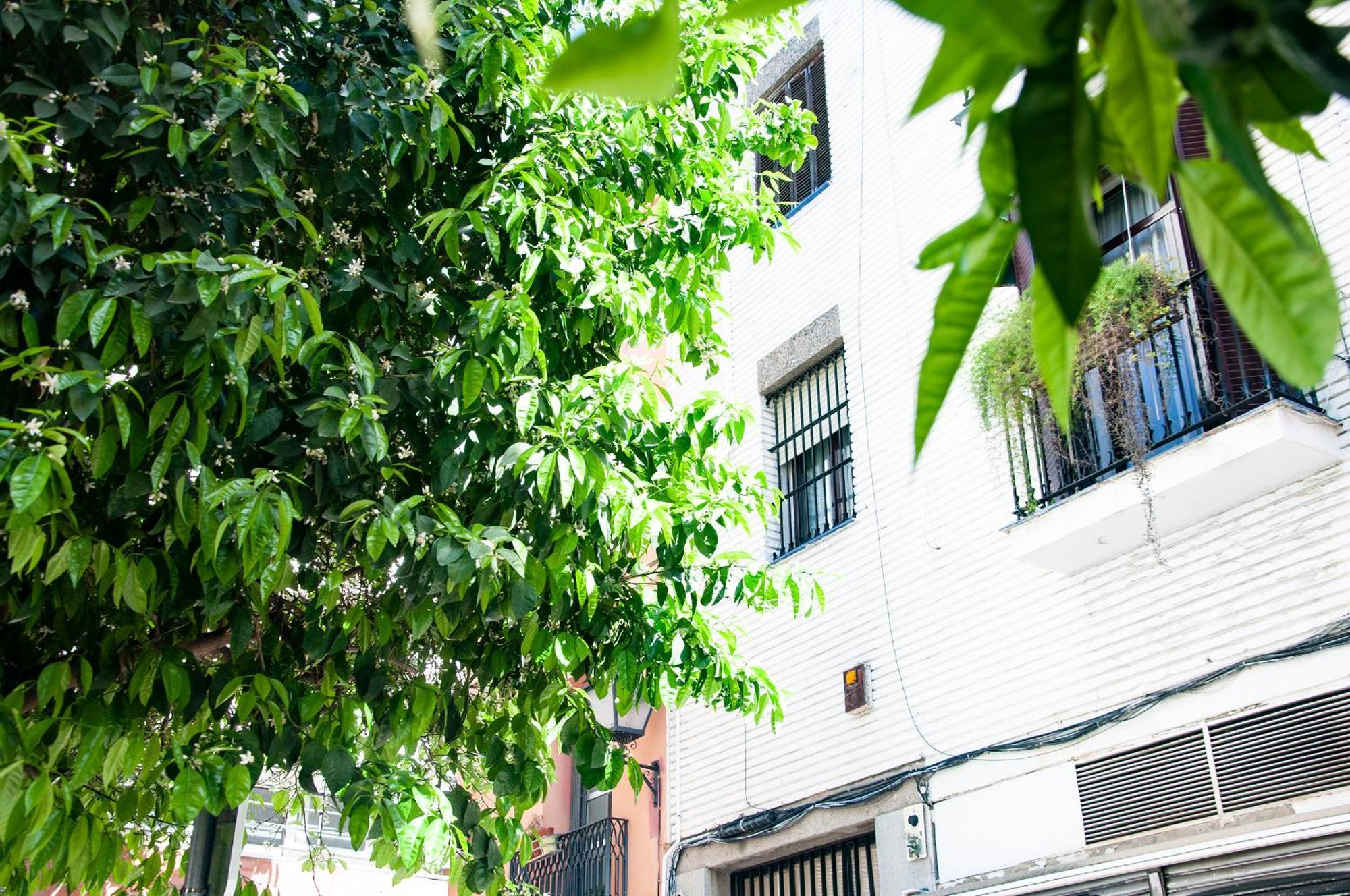 AlohaMundi Cruz Verde Sevilla Exterior foto
